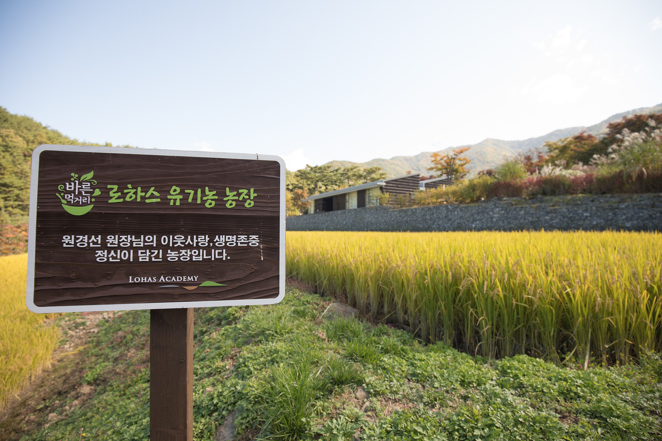 풀무원 원경선 기념관 로하스